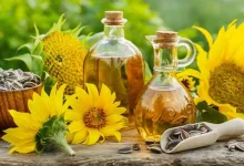 خواص روغن آفتابگردان برای سلامت بدن