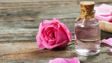 با خواص شگفت انگیز گلاب برای بدن آشنا شوید