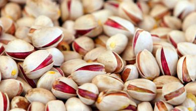 فواید و خواص پسته برای سلامتی بدن