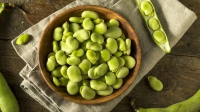 از خواص و مضرات باقلا چه می دانید؟