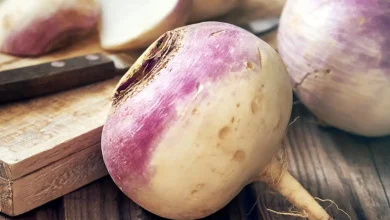 خواص شلغم خام و پخته