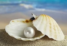 آشنایی با سنگ های متولدین ماه خرداد