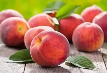 خواص شلیل برای بدن