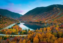 زیباترین جنگل ‌های شمال برای سفر کدام اند؟