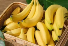 بررسی کامل فواید و مضرات موز