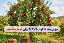 میزان مصرف کود 20 20 20 برای هر درخت سیب