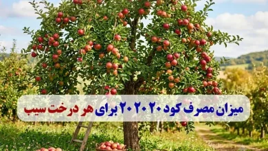 میزان مصرف کود 20 20 20 برای هر درخت سیب