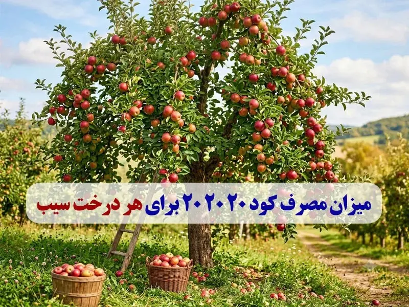 میزان مصرف کود 20 20 20 برای هر درخت سیب